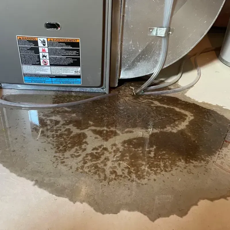 Appliance Leak Cleanup in Vigo County, IN